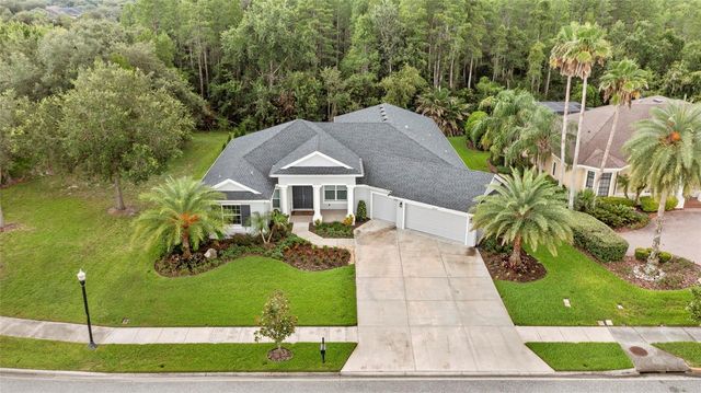 20454 LACE CASCADE RD, Land O Lakes, FL 34637