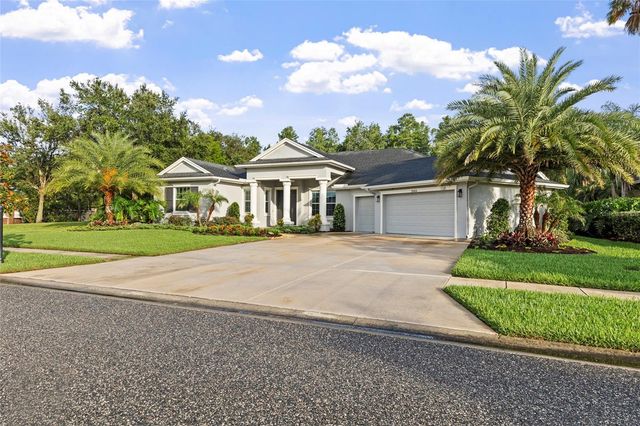 20454 LACE CASCADE RD, Land O Lakes, FL 34637