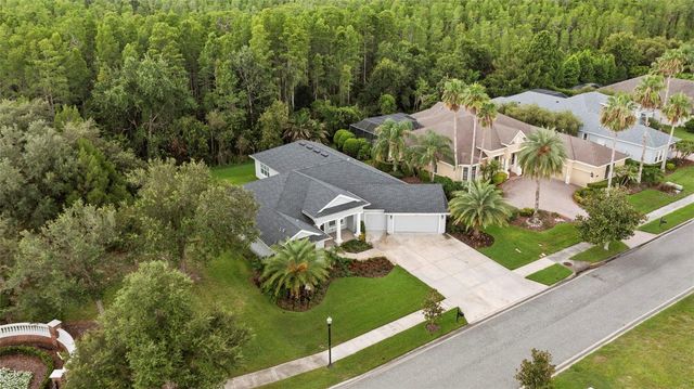 20454 LACE CASCADE RD, Land O Lakes, FL 34637