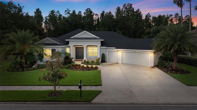 20454 LACE CASCADE RD, Land O Lakes, FL 34637