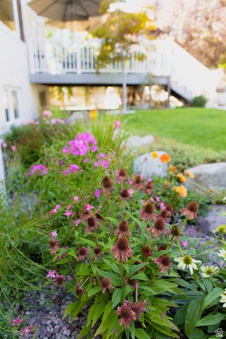 8867 S EASTHILLS DR, Sandy, UT 84093