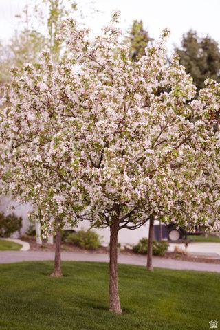 8867 S EASTHILLS DR, Sandy, UT 84093