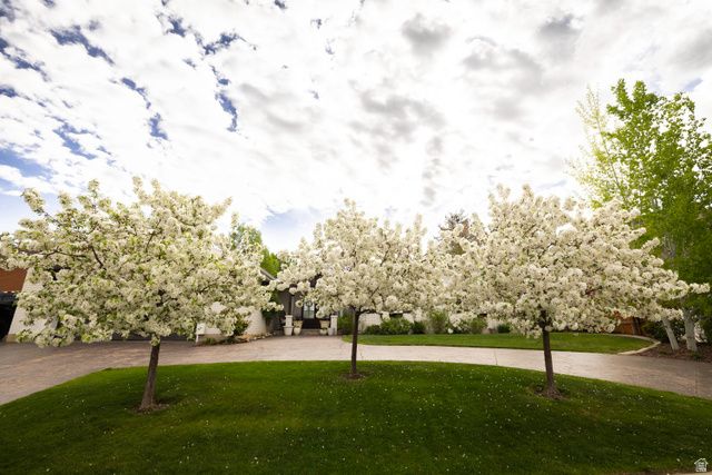 8867 S EASTHILLS DR, Sandy, UT 84093