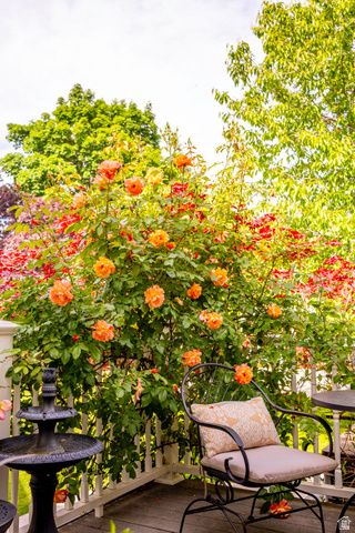 8867 S EASTHILLS DR, Sandy, UT 84093