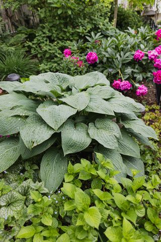 8867 S EASTHILLS DR, Sandy, UT 84093