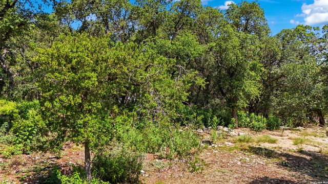 1824 Trail Ridge Dr., Canyon Lake, TX 78133
