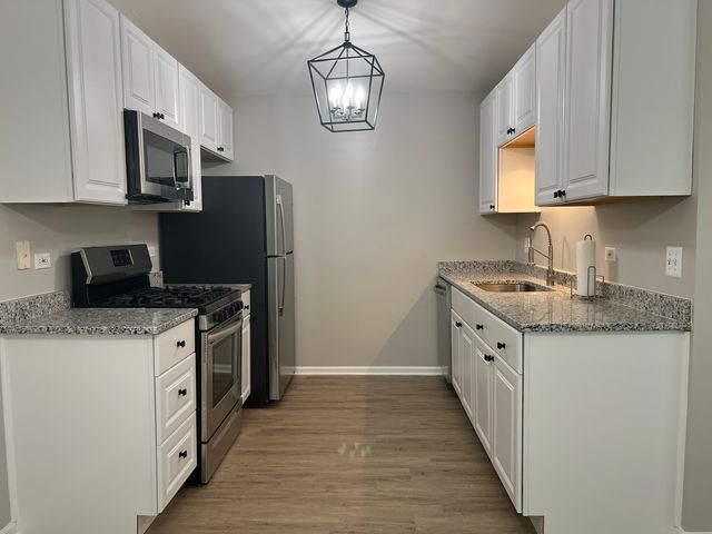 1287 N RED OAK Circle 4, Round Lake Beach, IL 60073