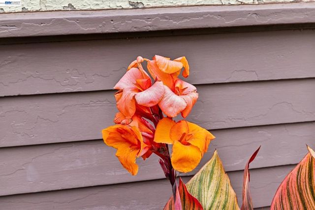 1827 Santa Clara Ave, Alameda, CA 94501
