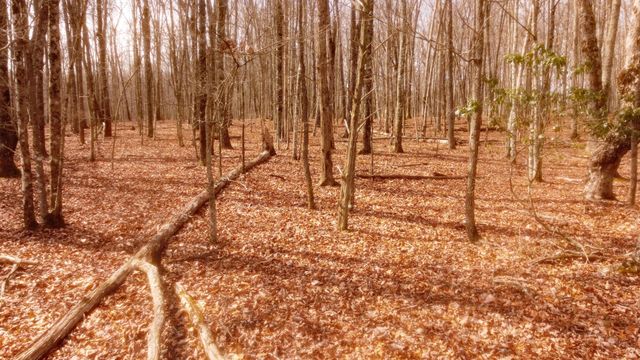 0 Ravens Den Rd, Sewanee, TN 37375