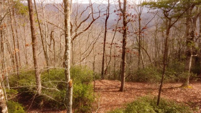 0 Ravens Den Rd, Sewanee, TN 37375