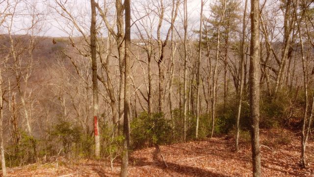 0 Ravens Den Rd, Sewanee, TN 37375
