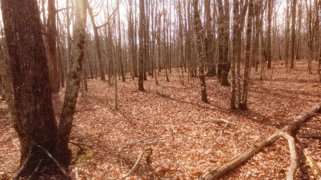 0 Ravens Den Rd, Sewanee, TN 37375