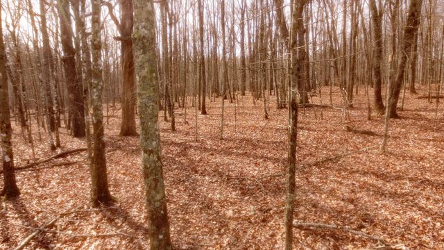 0 Ravens Den Rd, Sewanee, TN 37375