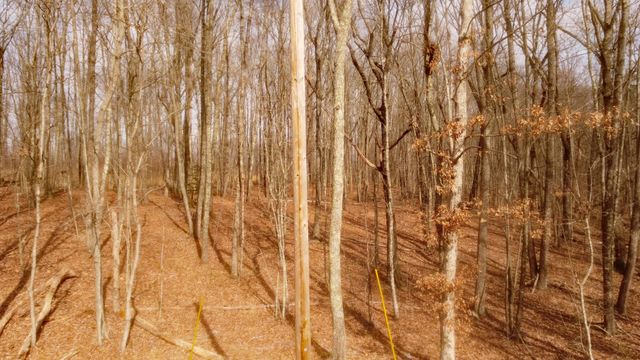 0 Ravens Den Rd, Sewanee, TN 37375