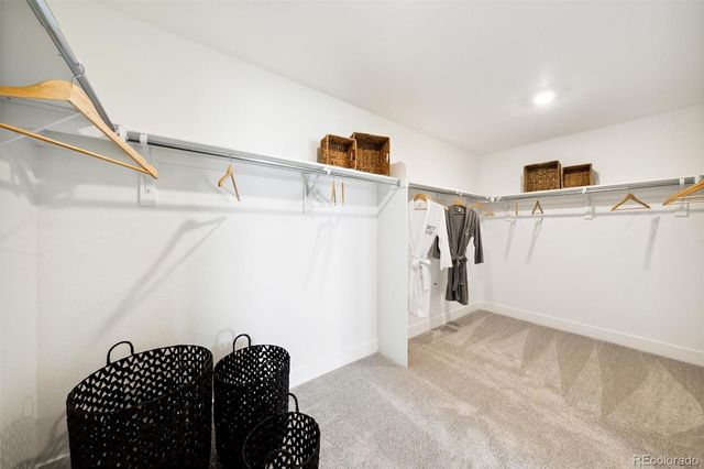 16867 W 92nd Drive, Arvada, CO 80007