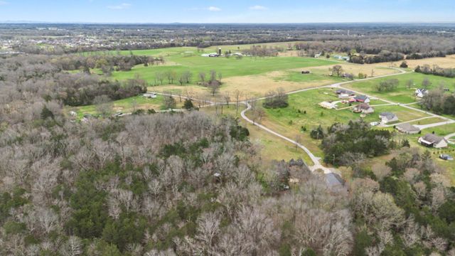 2320 Snake Town Rd, Chapel Hill, TN 37034