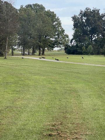 2320 Snake Town Rd, Chapel Hill, TN 37034