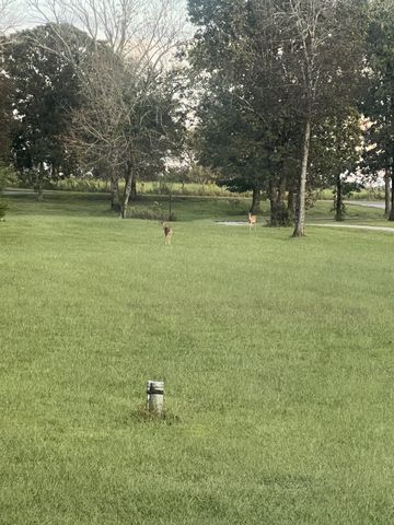 2320 Snake Town Rd, Chapel Hill, TN 37034