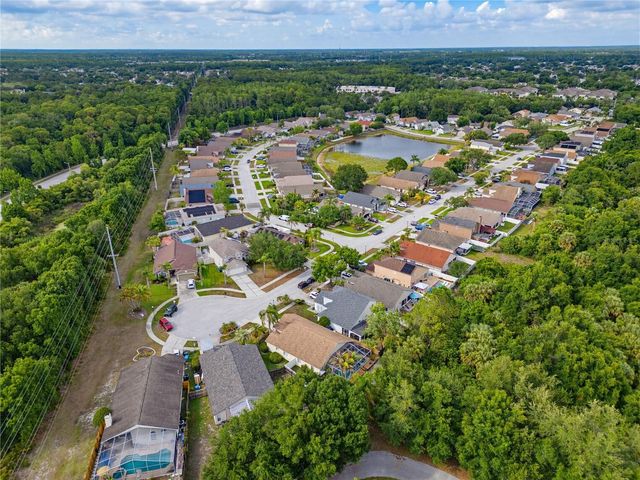 10236 CHARLESTON CORNER ROAD, Tampa, FL 33635