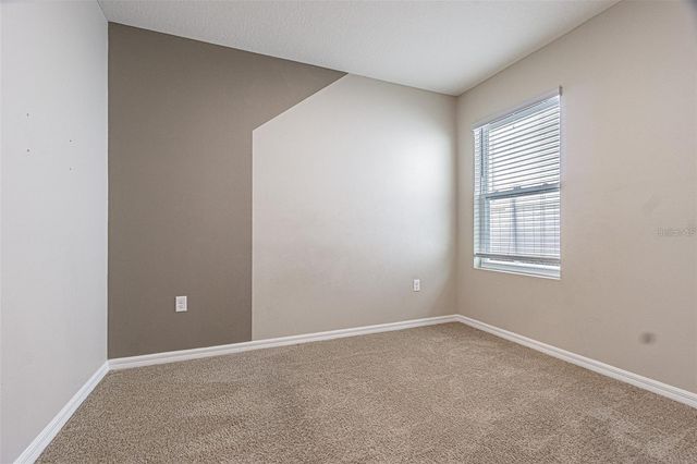 10853 TRAILING VINE DRIVE, Tampa, FL 33610