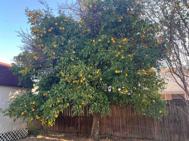 1949 Rob Way, Tallahassee, FL 32303