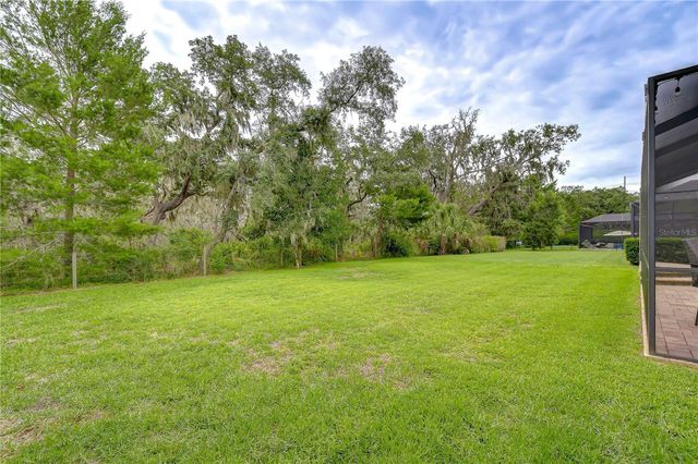 6335 KNOB TREE DRIVE, Lithia, FL 33547