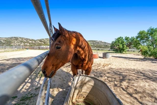 2815 Miller Valley Road, Pine Valley, CA 91962