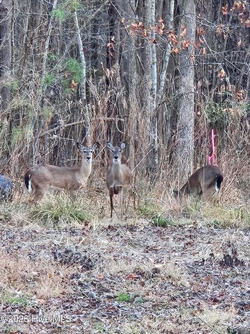 109 Pinewood Trail, Hertford, NC 27944