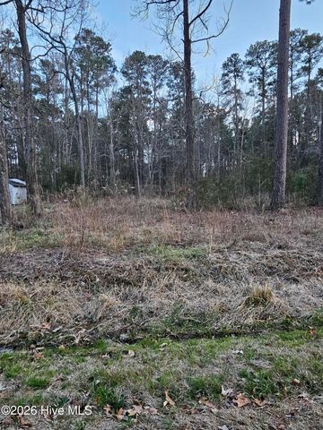 109 Pinewood Trail, Hertford, NC 27944