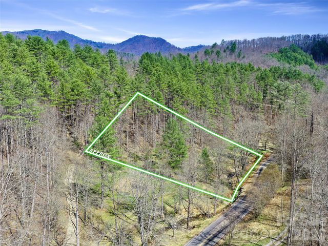 00 Elk Shoals Creek Road, Burnsville, NC 28714