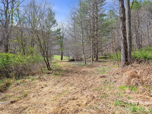 00 Elk Shoals Creek Road, Burnsville, NC 28714