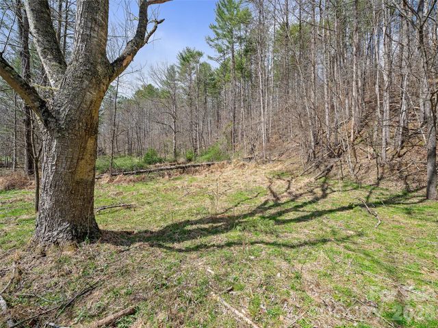 00 Elk Shoals Creek Road, Burnsville, NC 28714