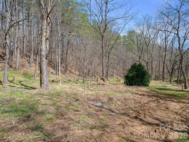 00 Elk Shoals Creek Road, Burnsville, NC 28714