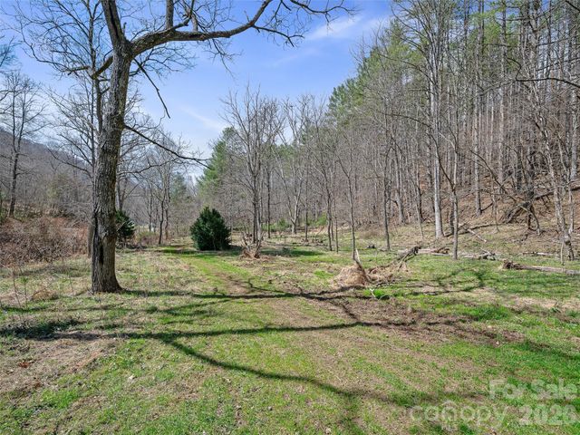 00 Elk Shoals Creek Road, Burnsville, NC 28714