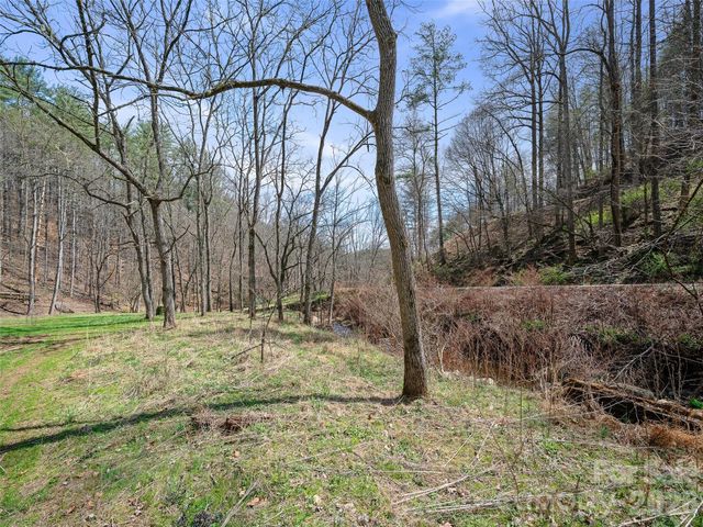 00 Elk Shoals Creek Road, Burnsville, NC 28714