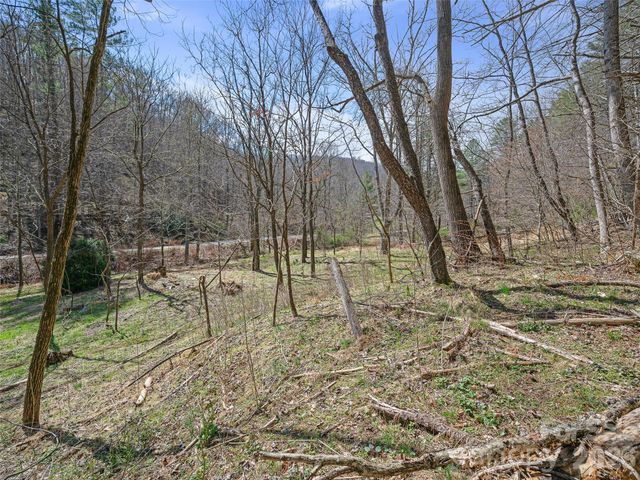 00 Elk Shoals Creek Road, Burnsville, NC 28714