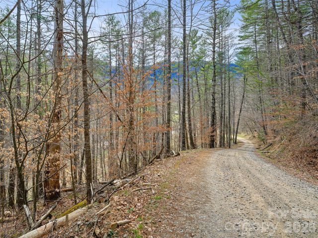 00 Elk Shoals Creek Road, Burnsville, NC 28714