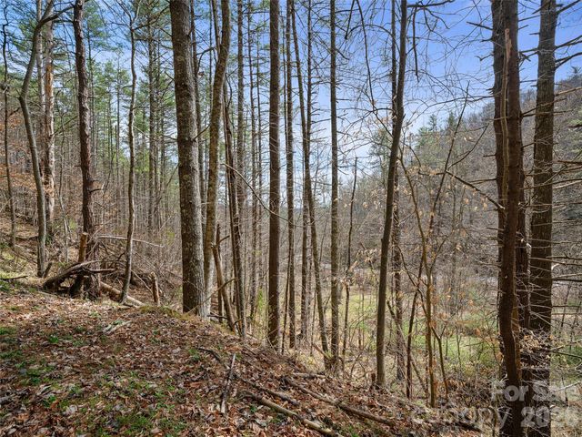 00 Elk Shoals Creek Road, Burnsville, NC 28714