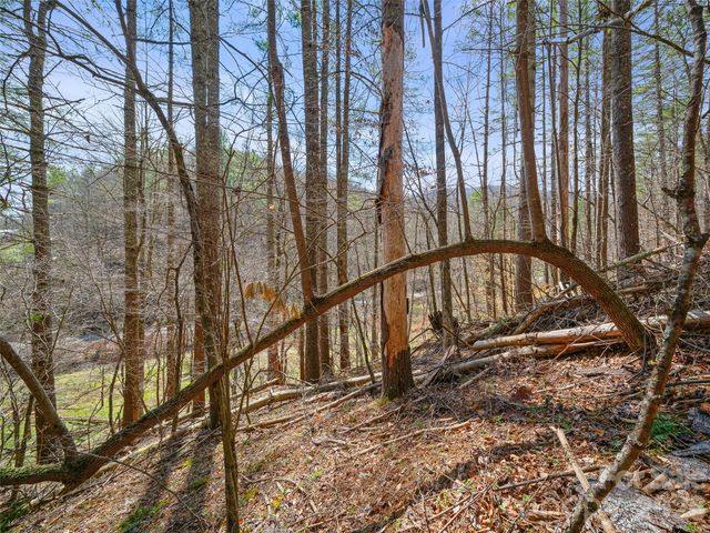 00 Elk Shoals Creek Road, Burnsville, NC 28714