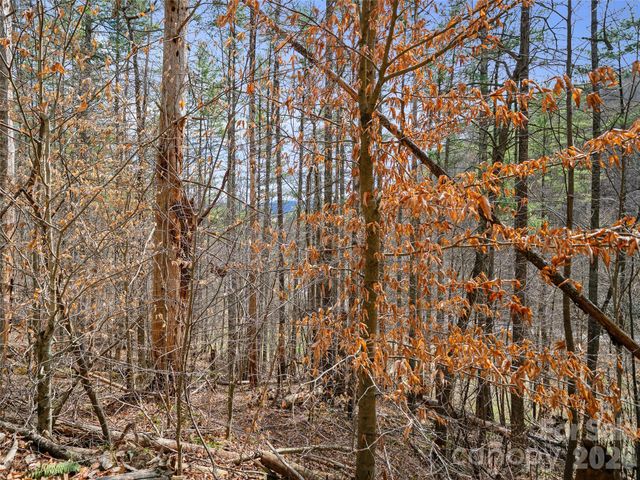 00 Elk Shoals Creek Road, Burnsville, NC 28714