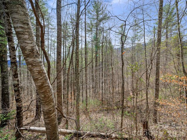 00 Elk Shoals Creek Road, Burnsville, NC 28714