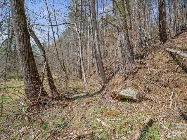 00 Elk Shoals Creek Road, Burnsville, NC 28714