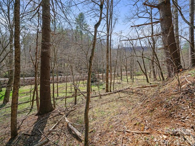00 Elk Shoals Creek Road, Burnsville, NC 28714