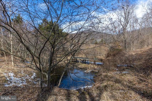 165 BROKENBACK MOUNTAIN RD, Free Union, VA 22940