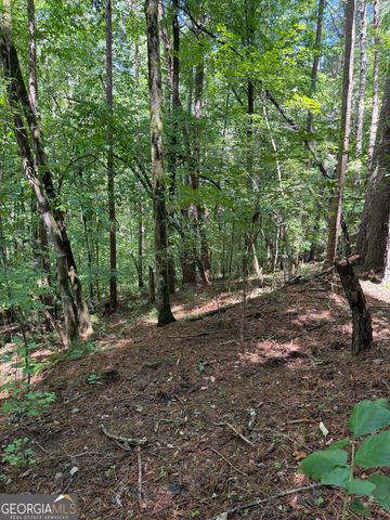 1707 Rebekah Ridge Road, Talking Rock, GA 30175
