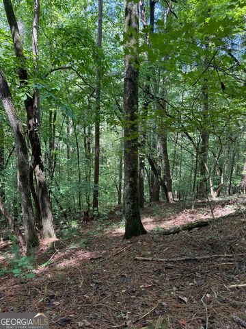 1707 Rebekah Ridge Road, Talking Rock, GA 30175