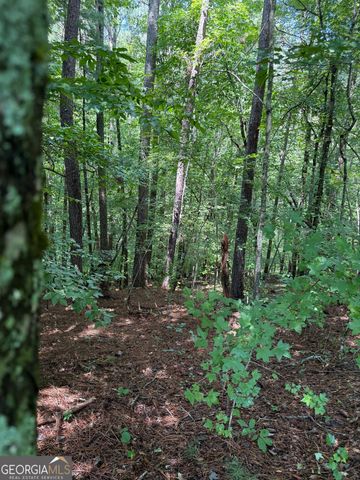 1707 Rebekah Ridge Road, Talking Rock, GA 30175