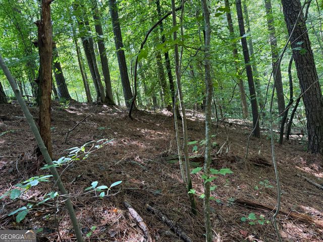1707 Rebekah Ridge Road, Talking Rock, GA 30175