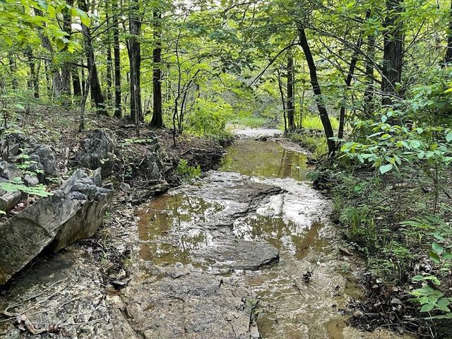 4 Kee Trl, Hardy, AR 72529