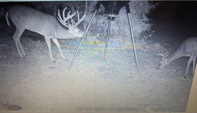 4 Kee Trl, Hardy, AR 72529